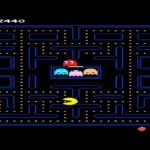 How Big Do Pacman Frogs Get