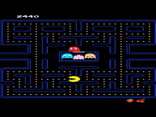 How Big Do Pacman Frogs Get