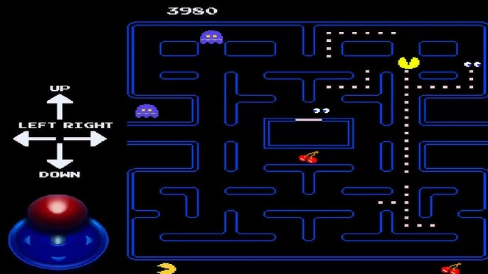 What Do Pacman Frogs Eat